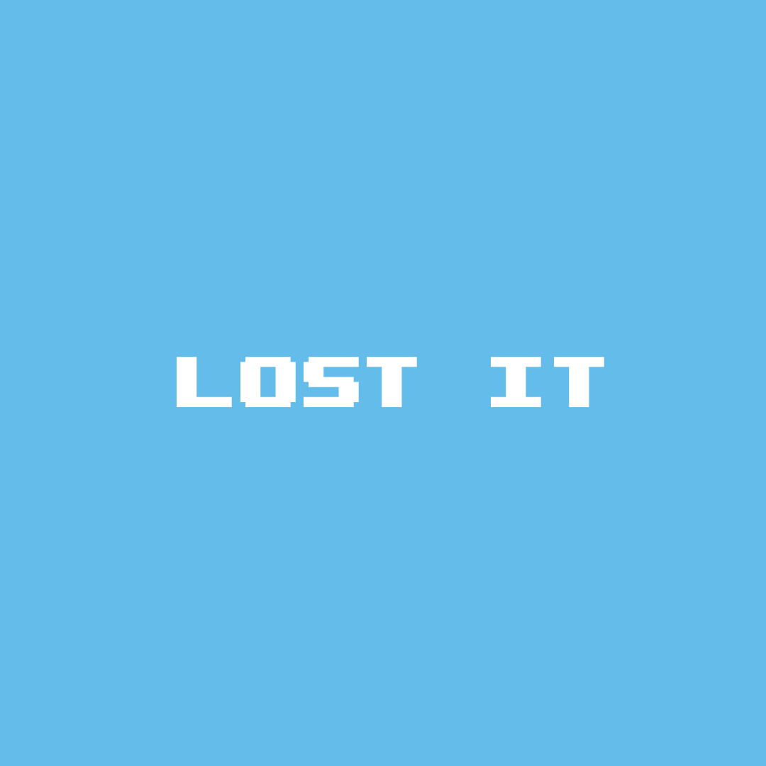 Lost it cover